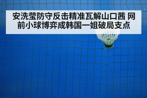badminton net shot