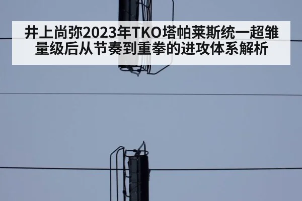井上尚弥2023年TKO塔帕莱斯统一超雏量级后从节奏到重拳的进攻体系解析